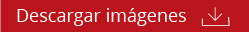 BotonDescargaImagen