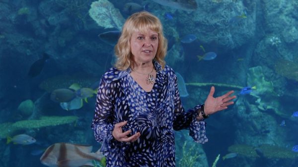 Honda Associate Follows Her Passion for the Ocean